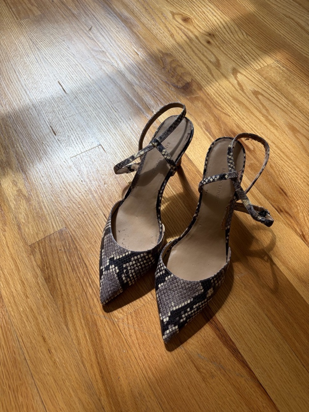 Banana Republic - Snake Print Leather Pointed Toe Heel